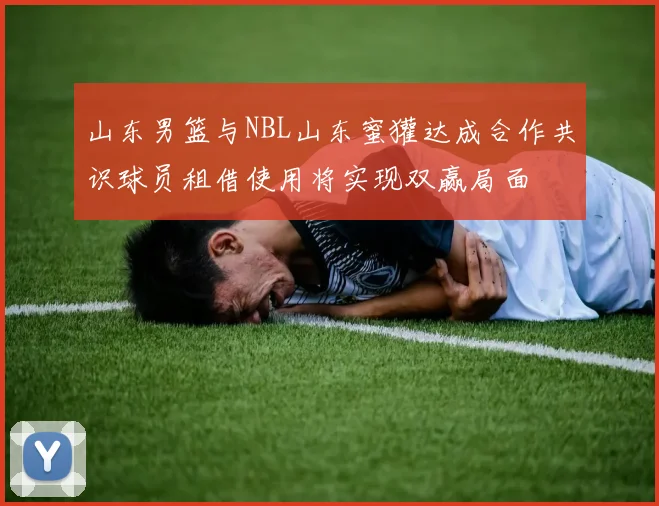山东男篮与NBL山东蜜獾达成合作共识球员租借使用将实现双赢局面